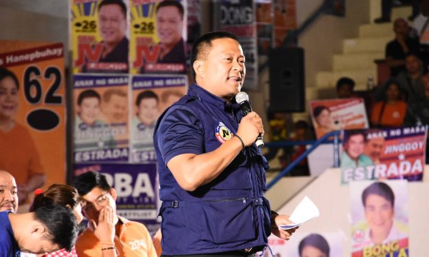 Sen. Ejercito suggests tripartite meeting on ‘doble plaka’ law